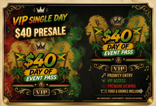 VIP Single Day Presale